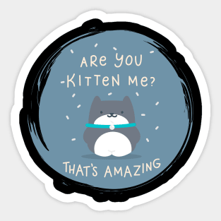 Are you Kitten me ? Sticker